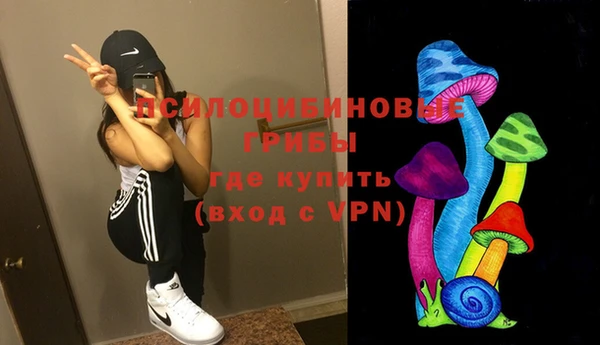 Альфа ПВП Горнозаводск
