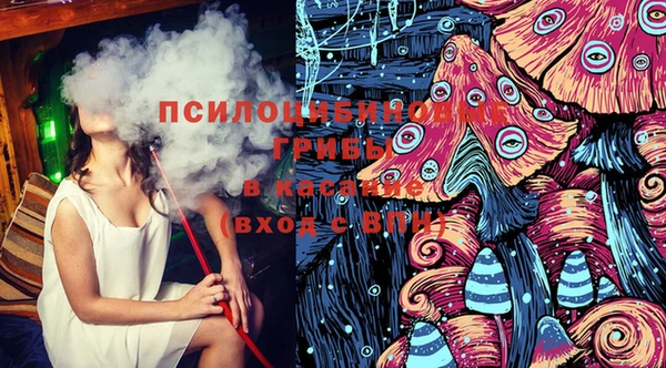 Альфа ПВП Горнозаводск